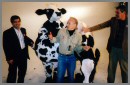 Cool Cow